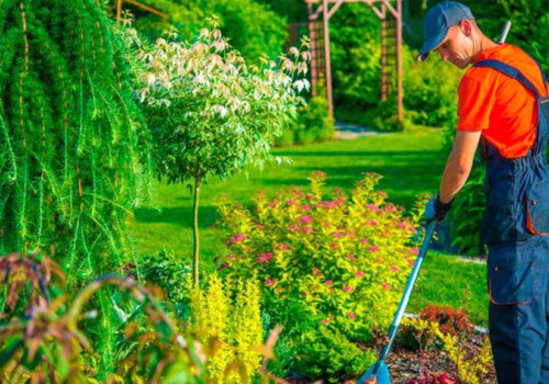 Preparar tu jardín para el verano