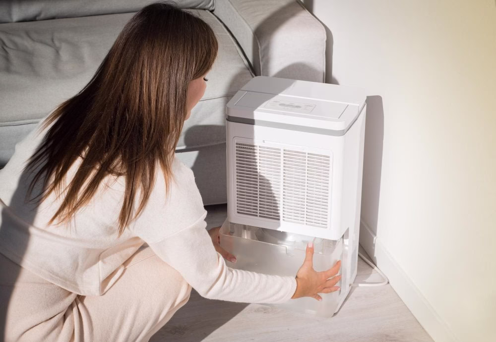 5 Consejos clave para evitar la humedad y el moho en invierno 2 Evitar humedad y moho en casa con deshumificador
